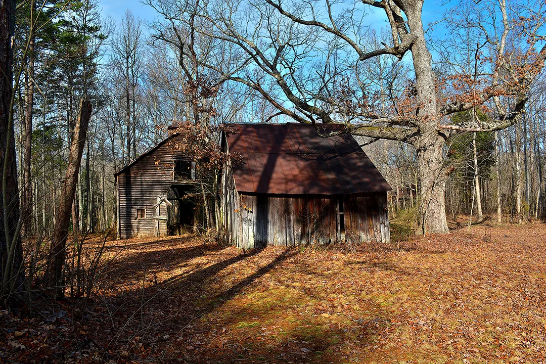 Uwharrie 5
