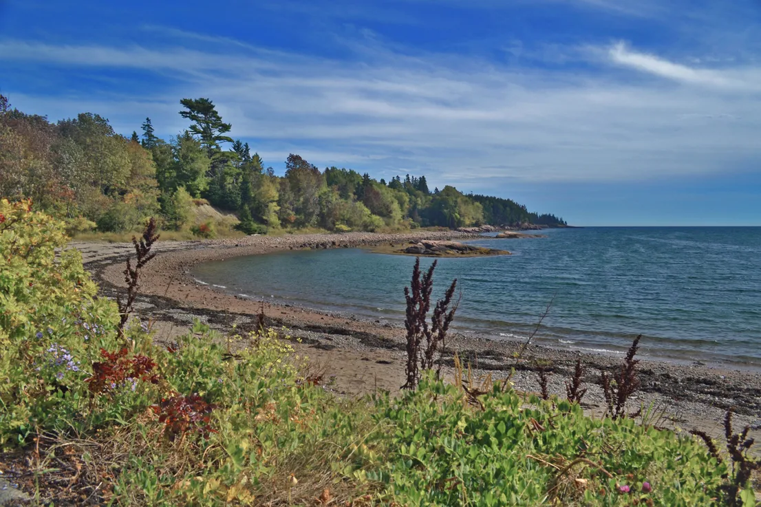 Acadia Pond 4