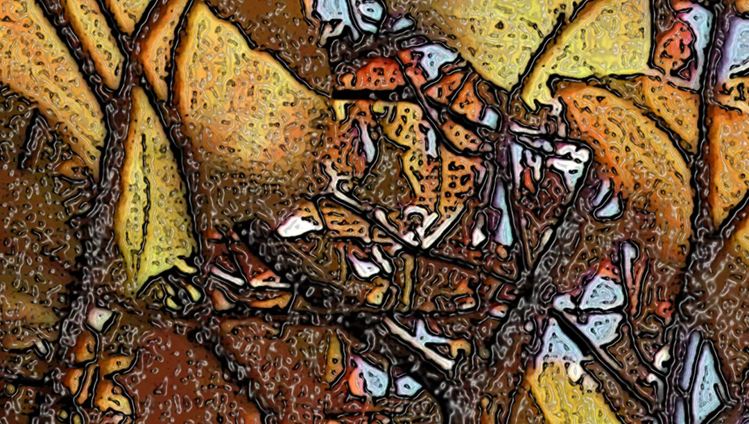Really Upclose