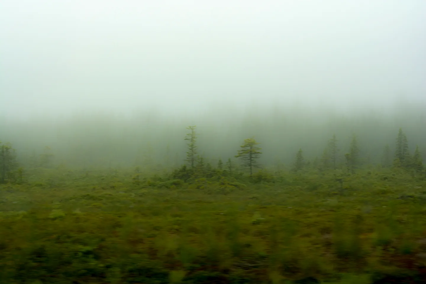 Maine 5