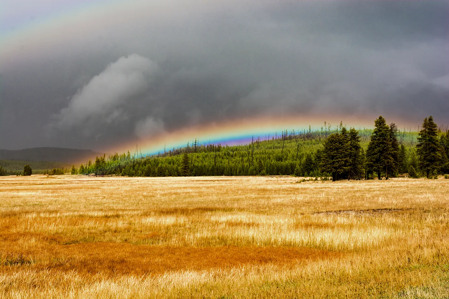 Yellowstone 39