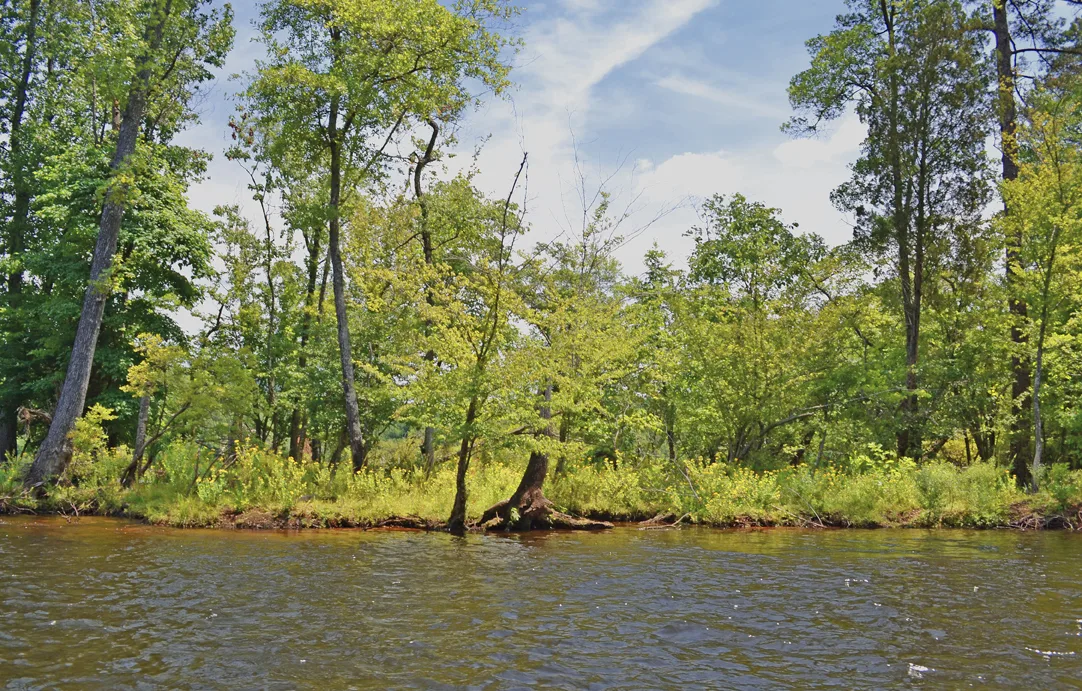 Yadkin-Peedee 28