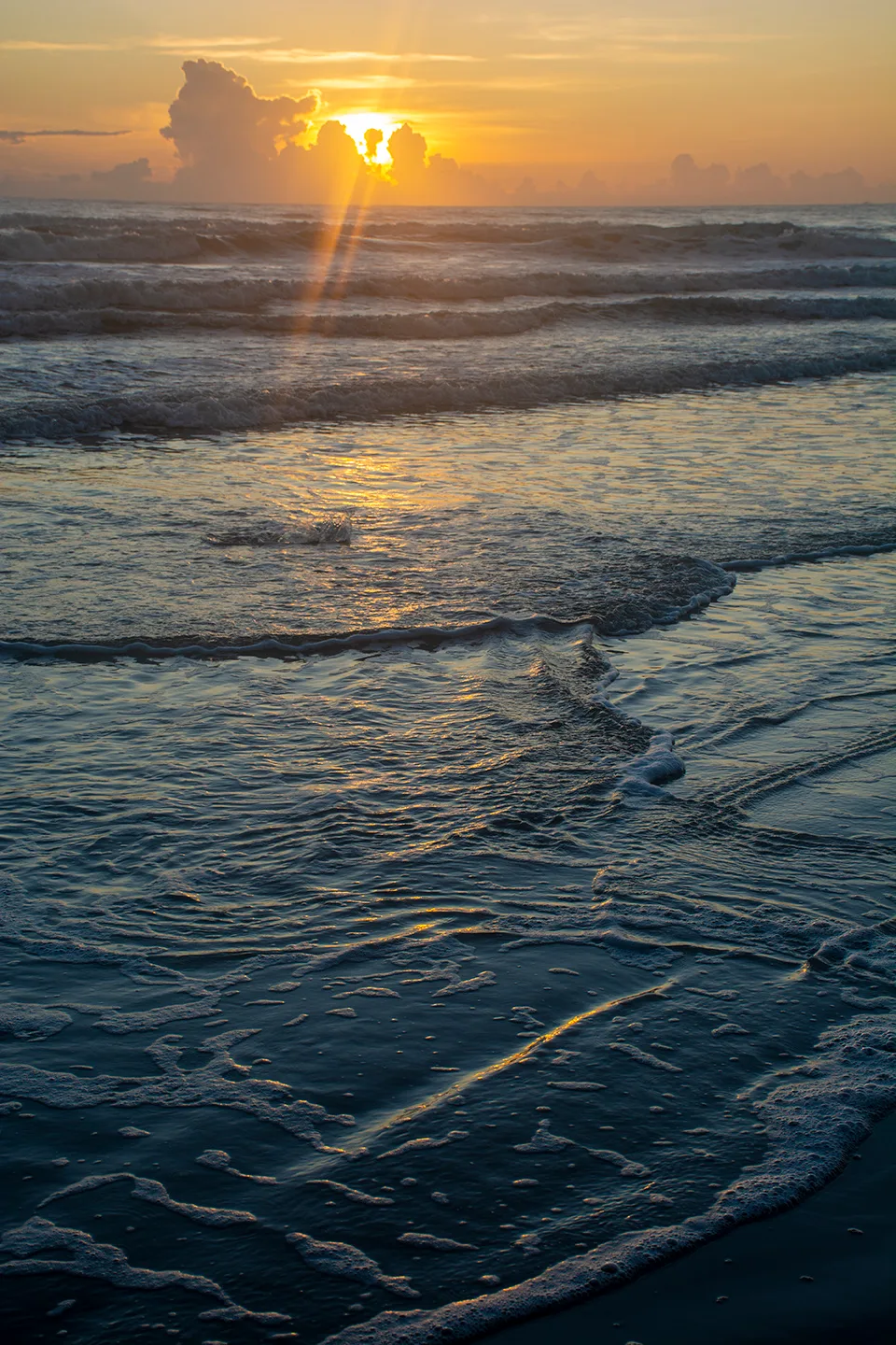Nsb 40