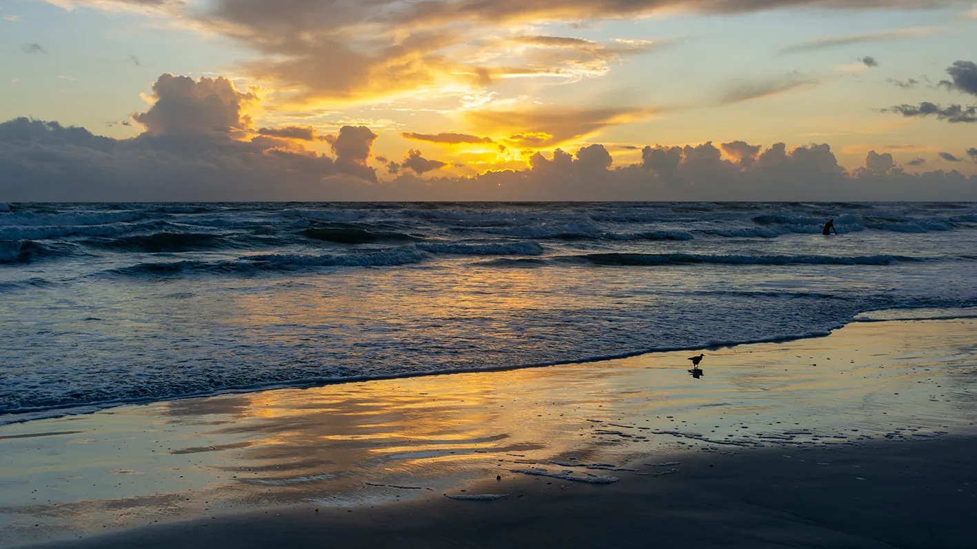 Nsb 9