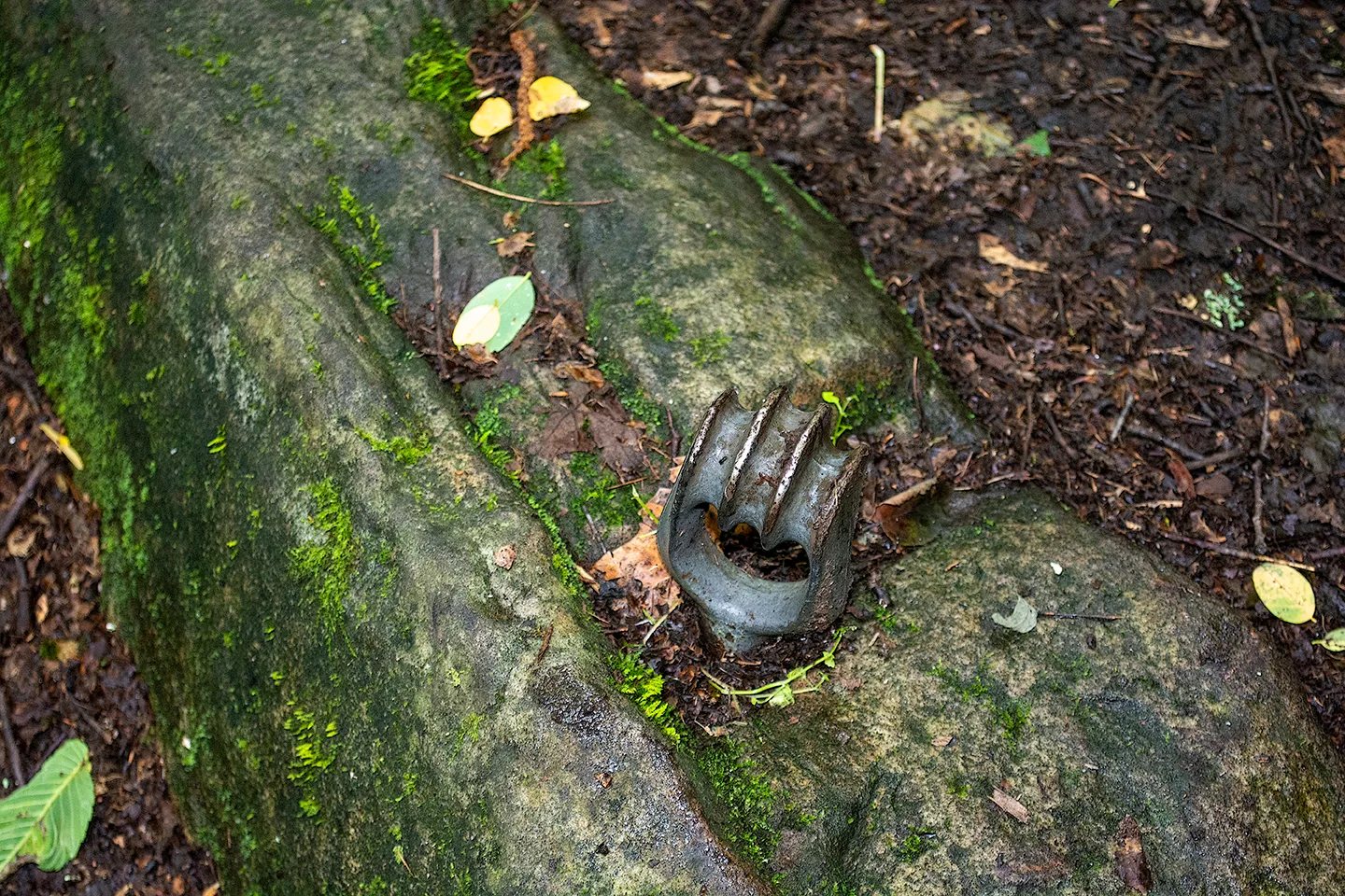Kaymoor 18