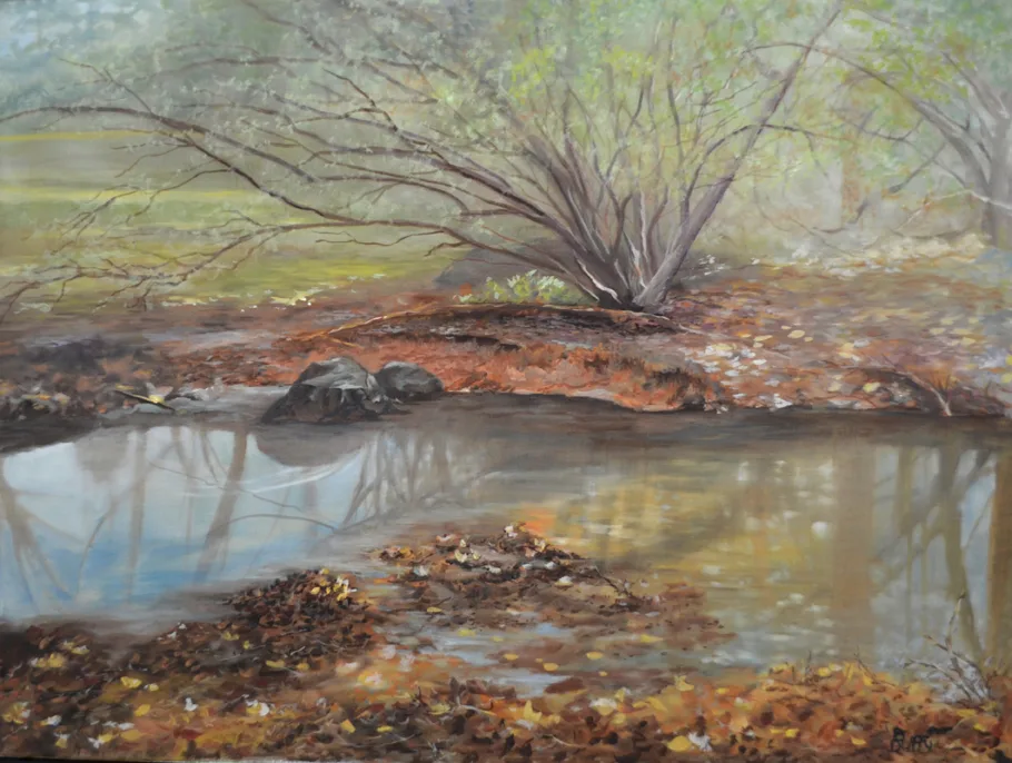 Our Creek