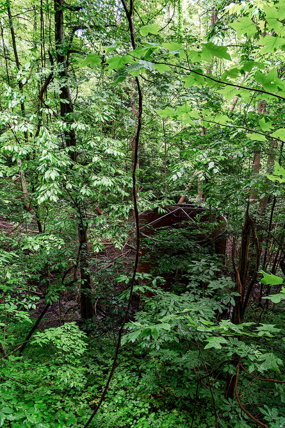 Kaymoor 6
