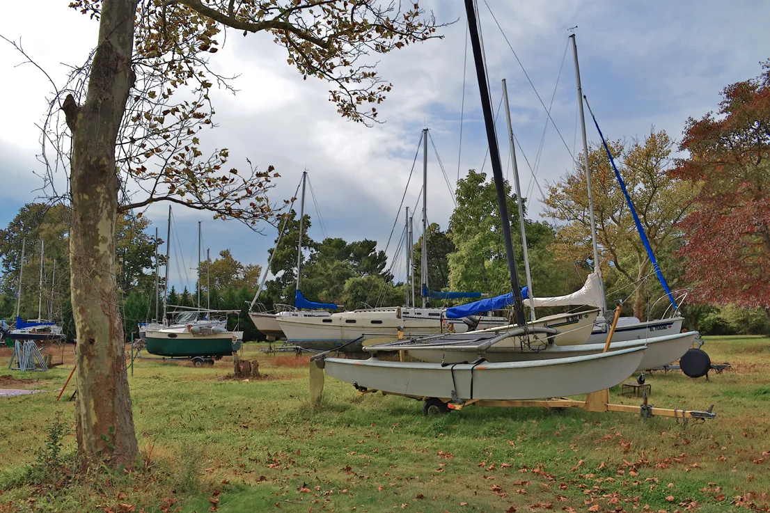 Sailboats 5