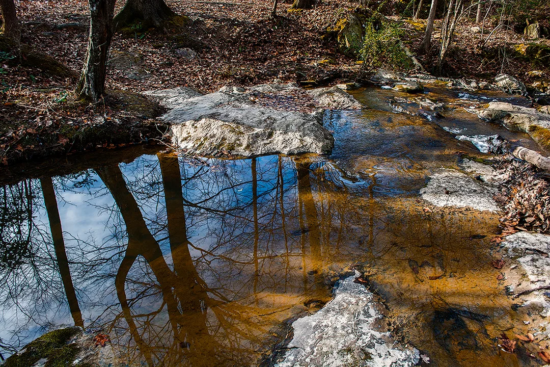 Uwharrie 6
