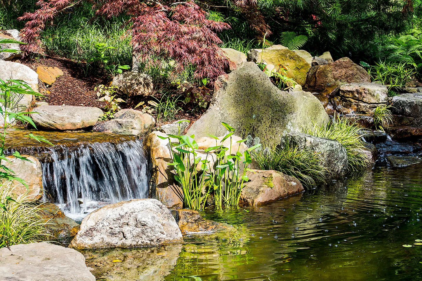 Pond 1