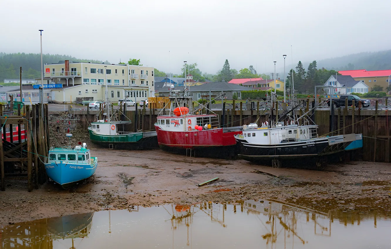 Newbrunswickalma 5