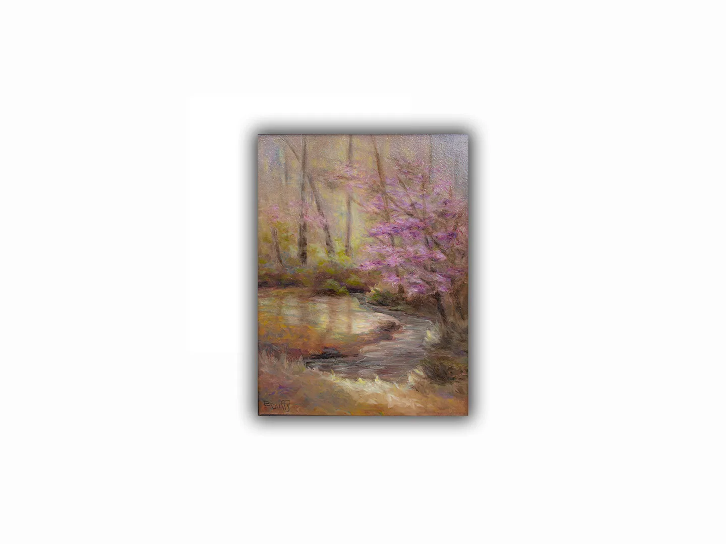 Our Creek Springtime