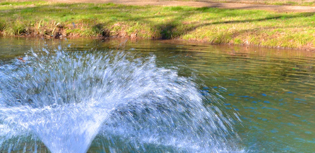 Fountain 3