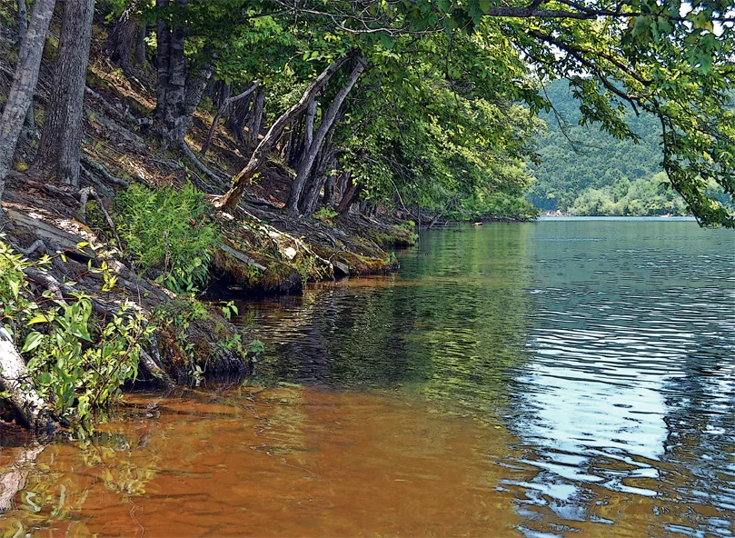 Yadkin-peedee 41
