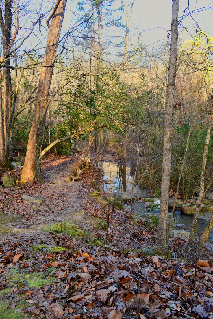 Uwharrie 3
