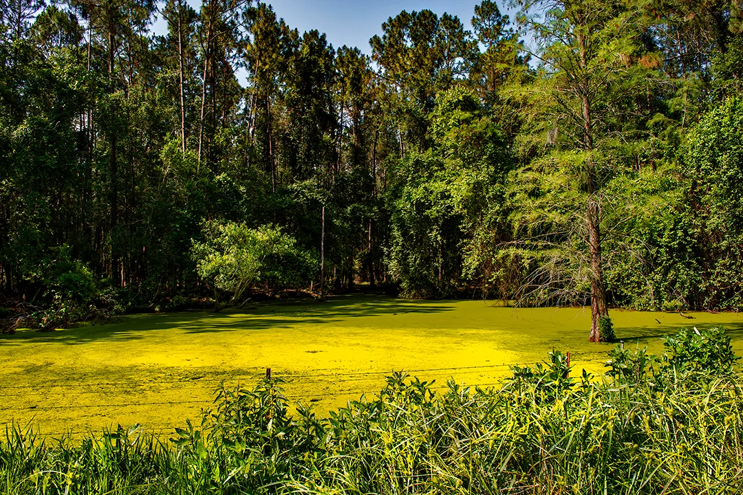 Bradfordcounty 2