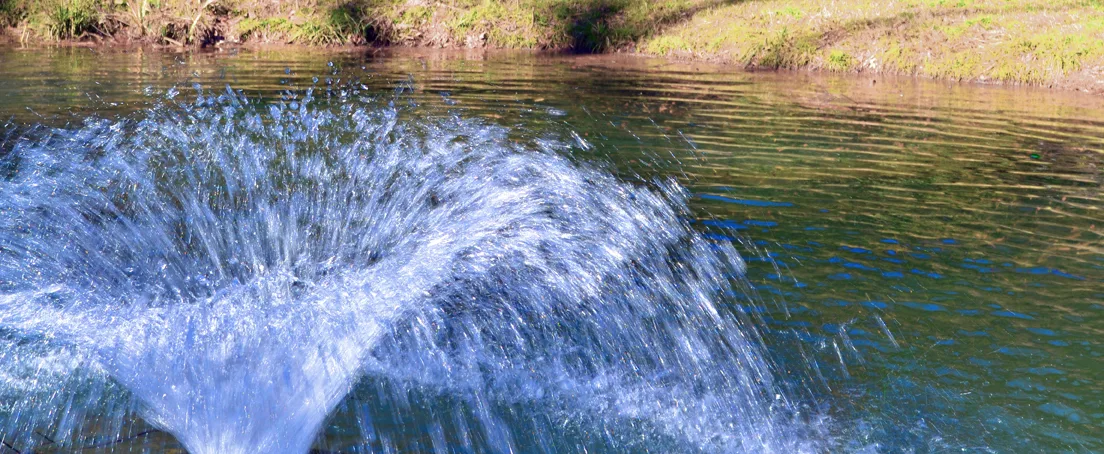 Fountain 2