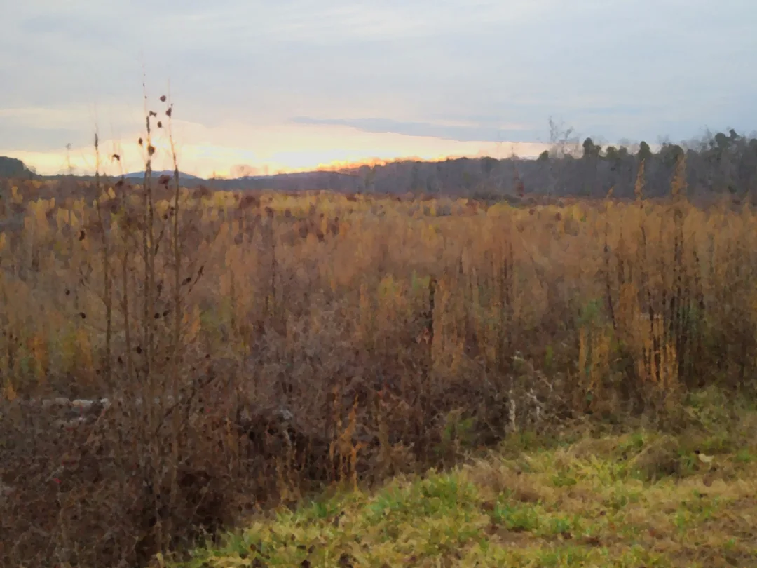 Uwharrie sunrise 1
