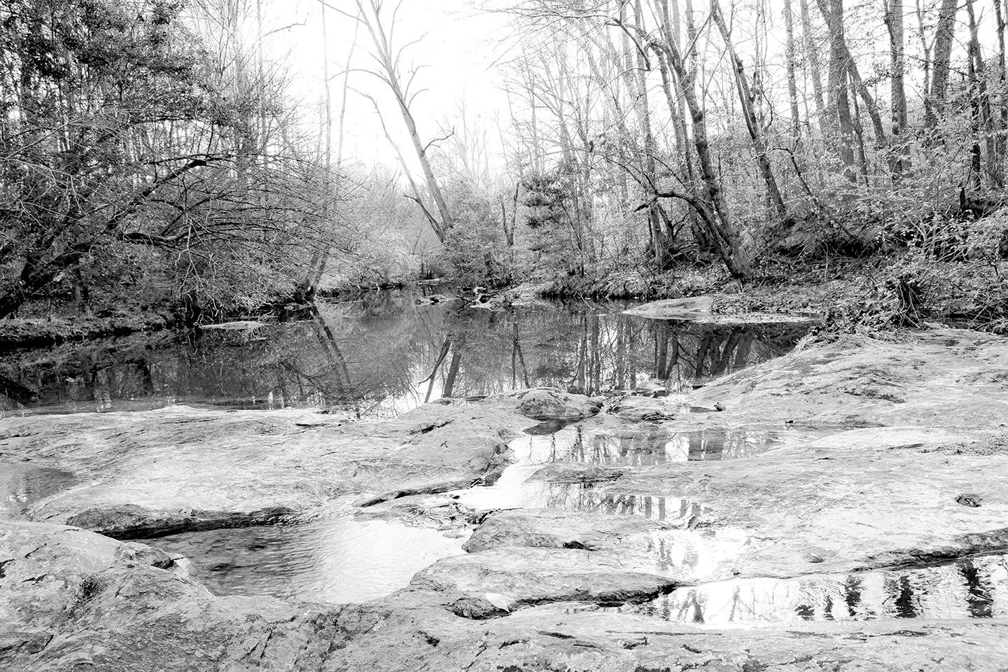 Uwharriepond 1
