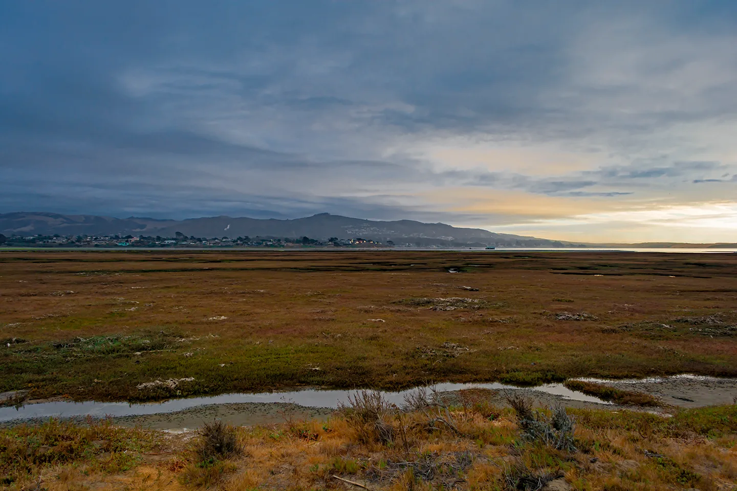 Morrobay 4