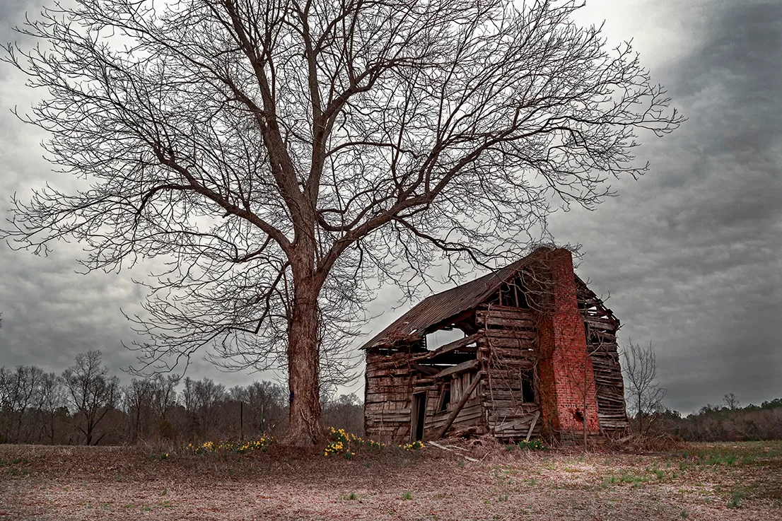 Reeseislandbarn 1