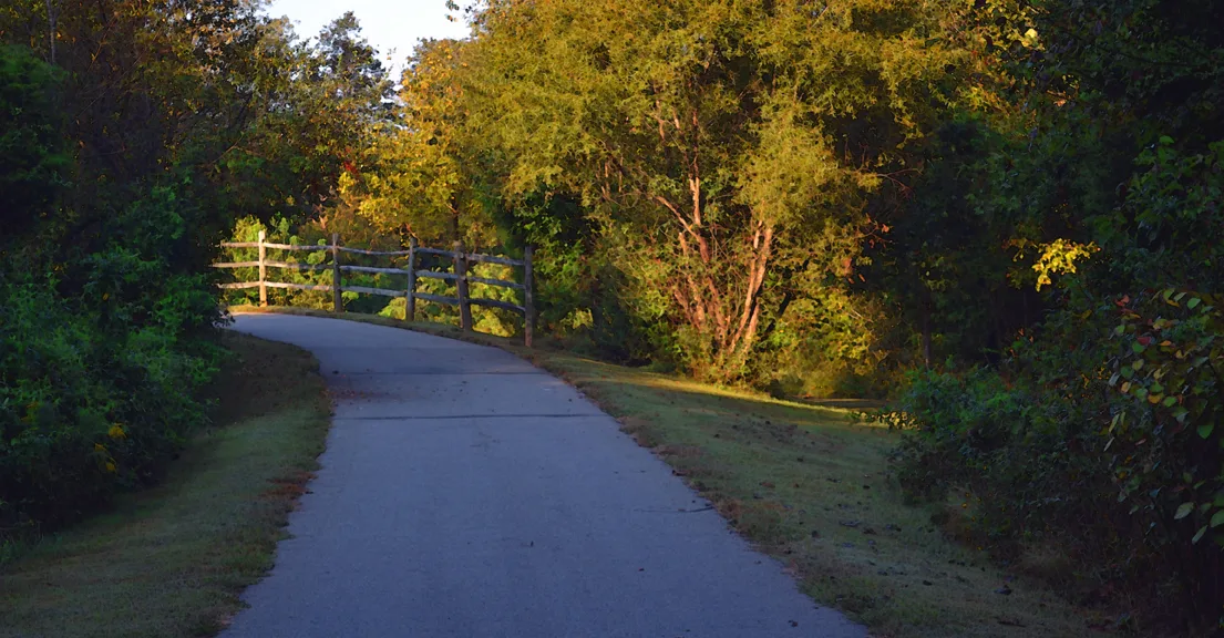 Trail
