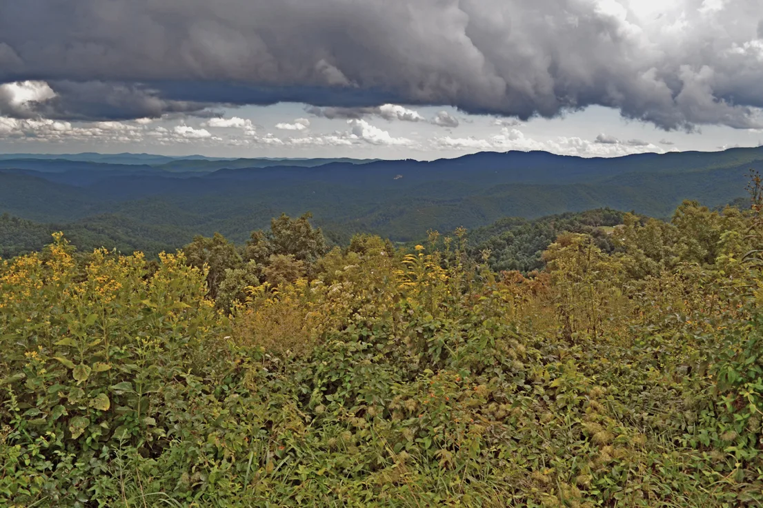 Blueridge Parkway 3