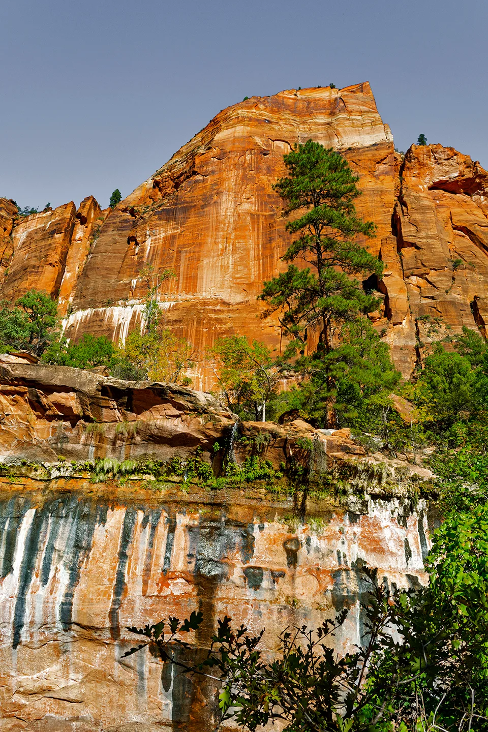Zion 13
