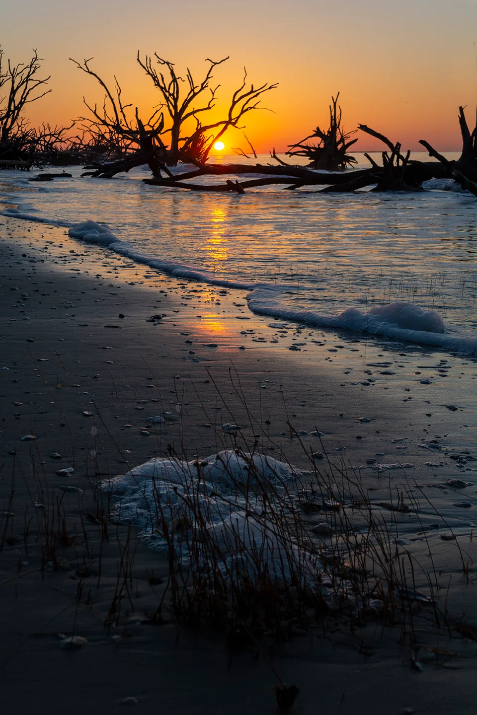 Edistosunrise 39