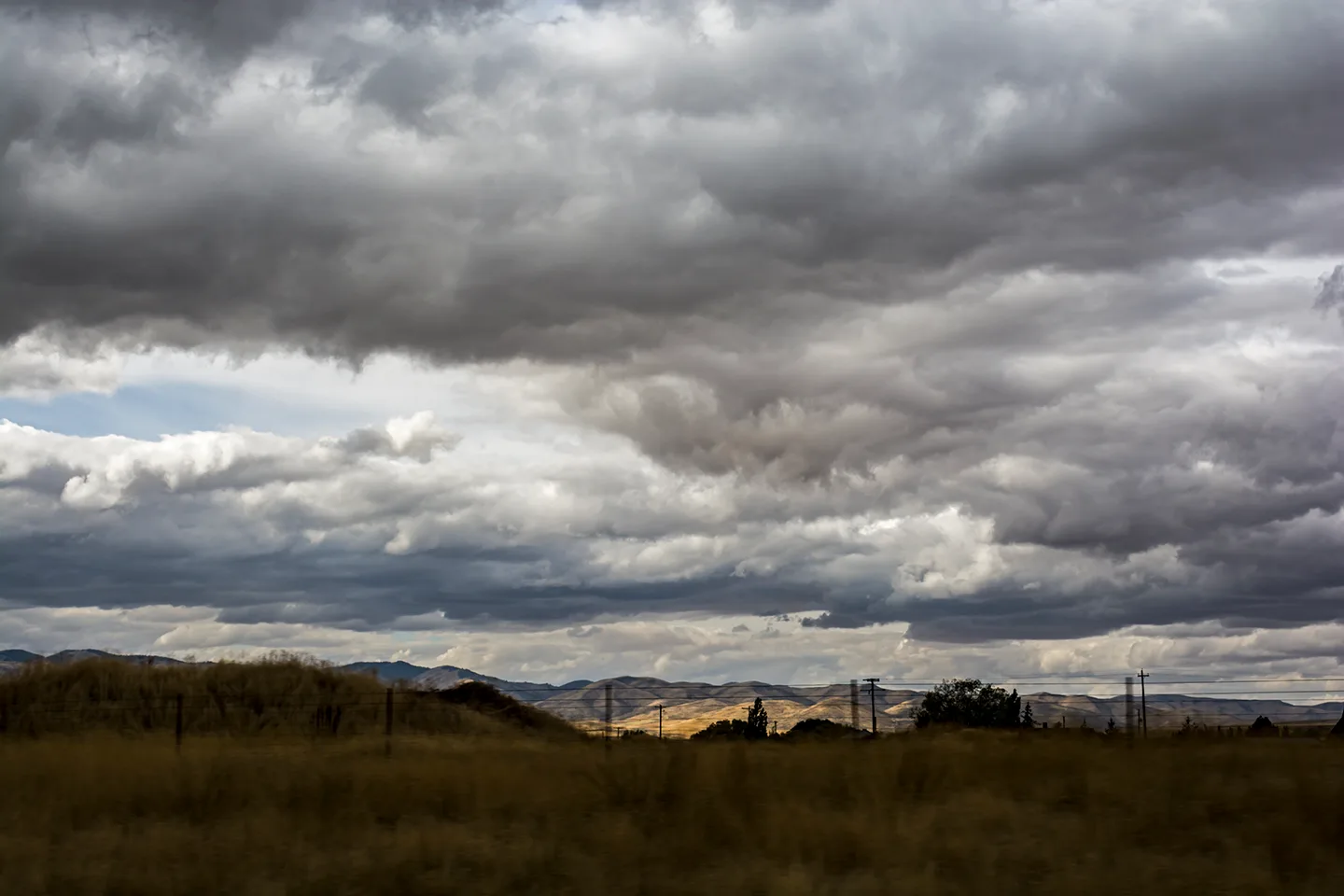 Idaho 7