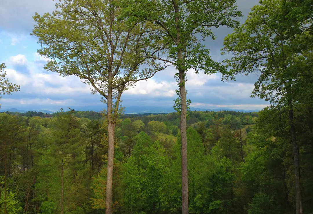 Venueview