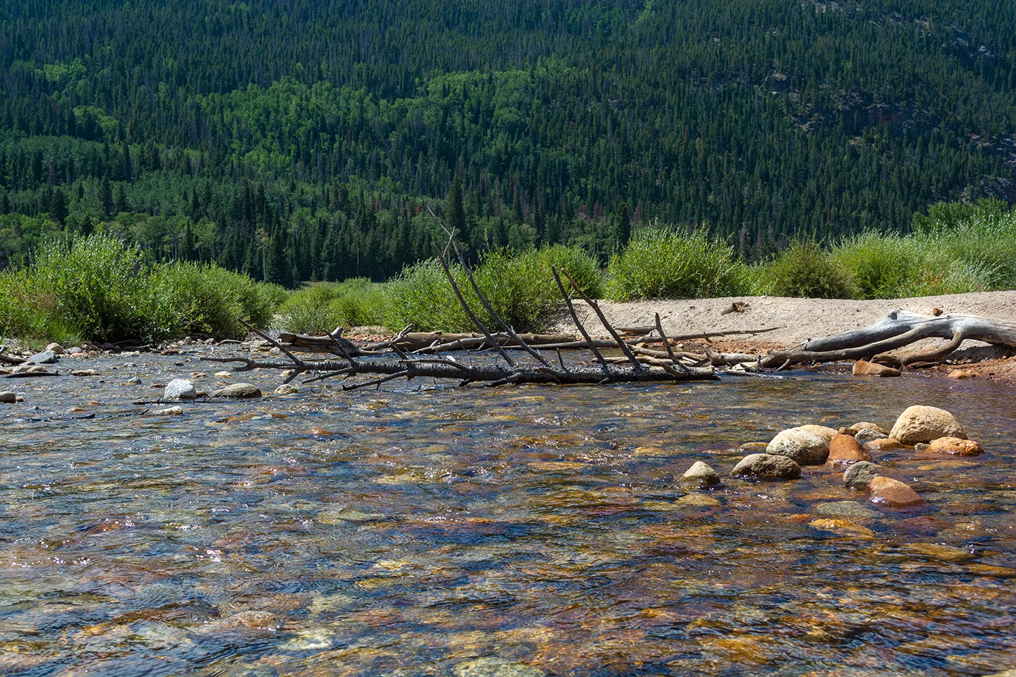 Rockymtn 7