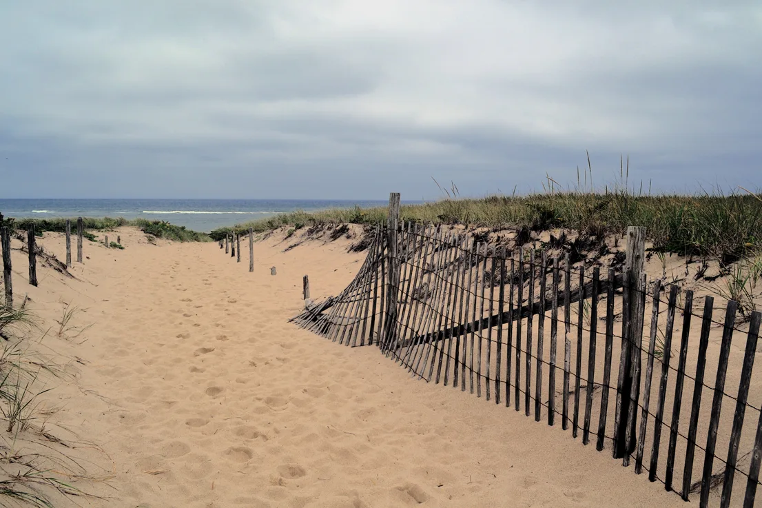 Cape Cod 5