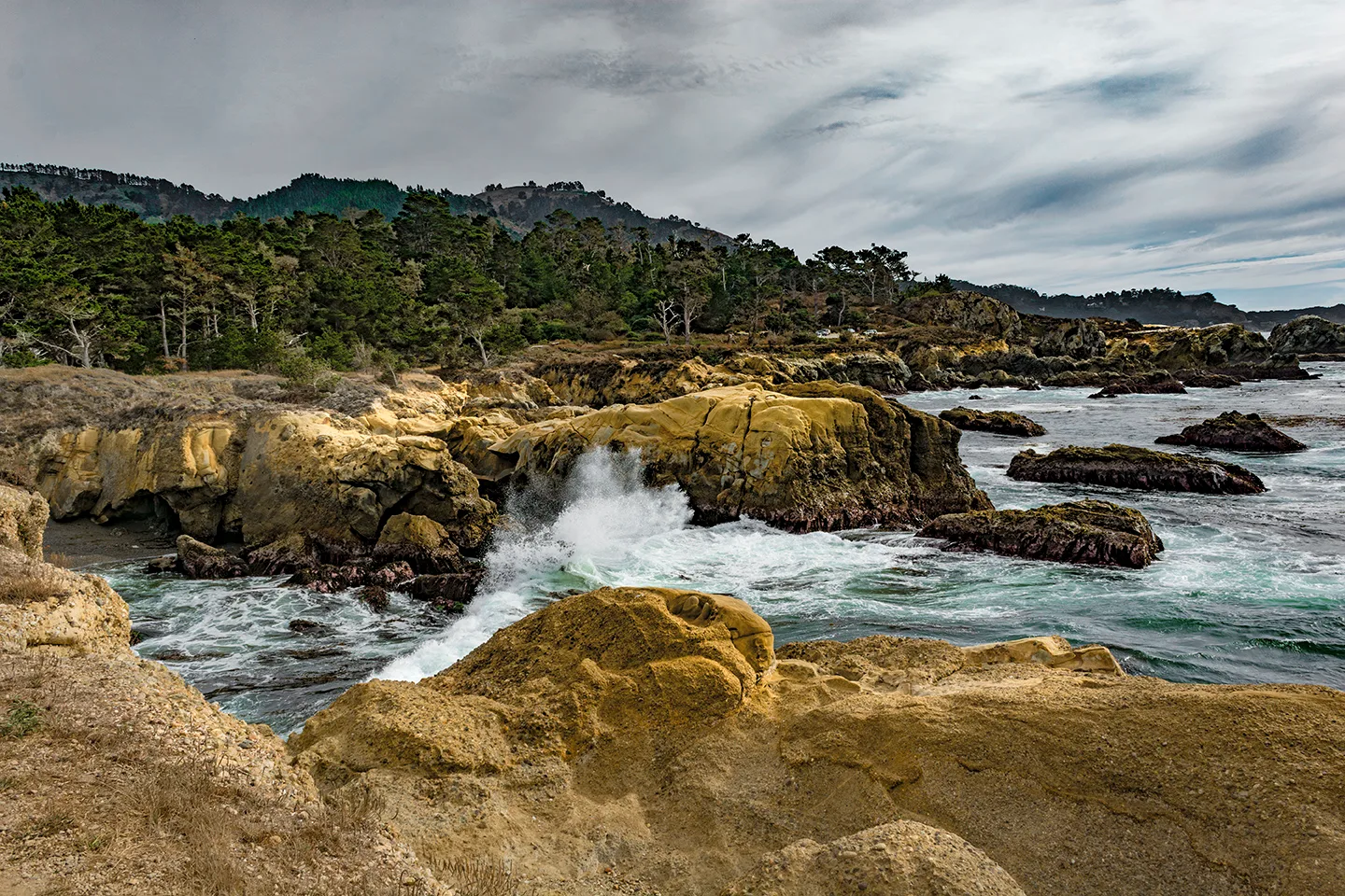 Pacifichighway 4