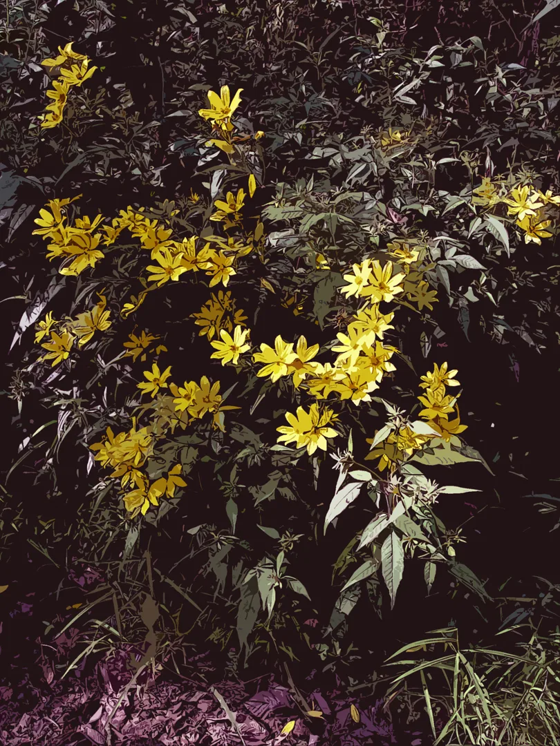Wildflowers Cutout