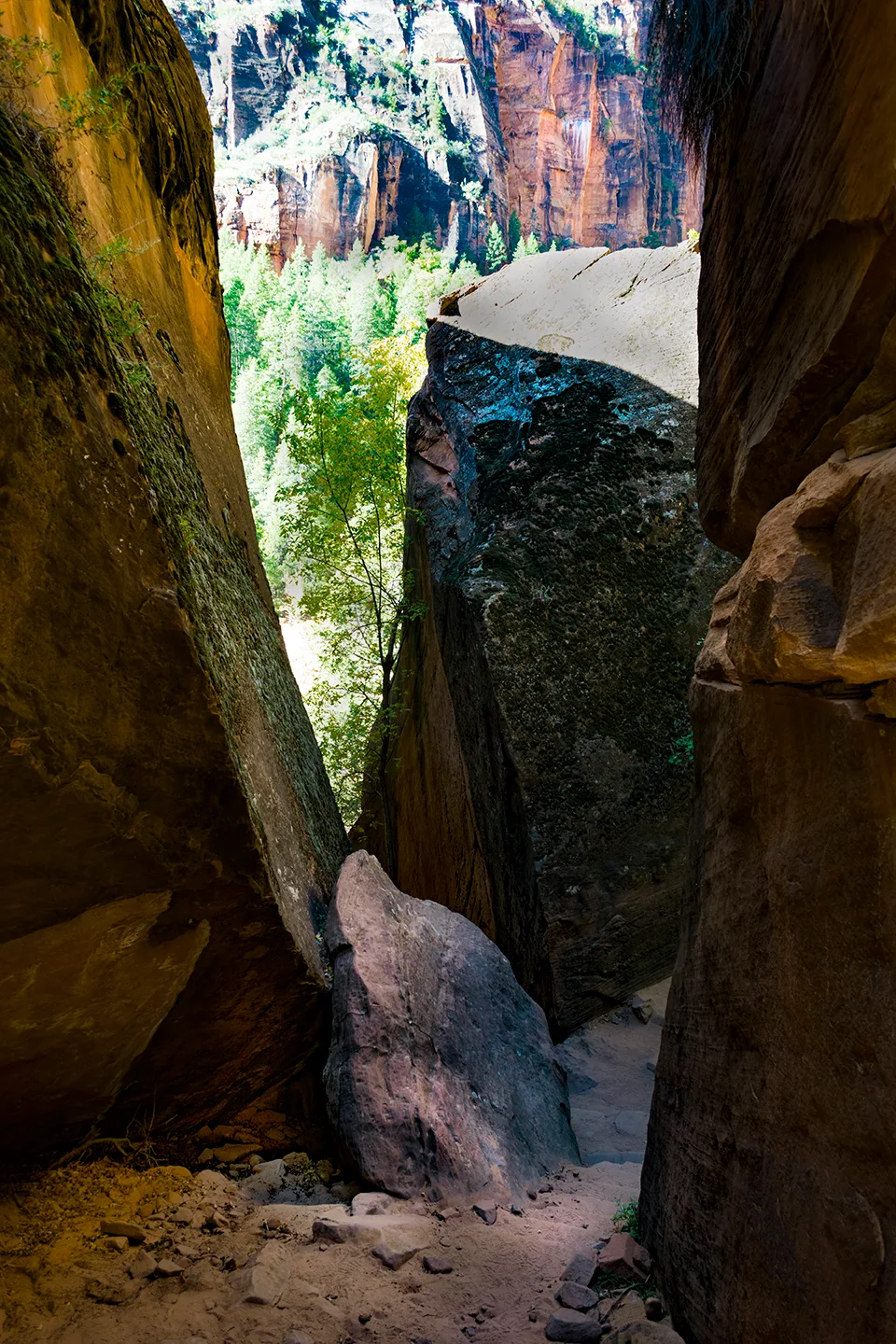 Zion 18