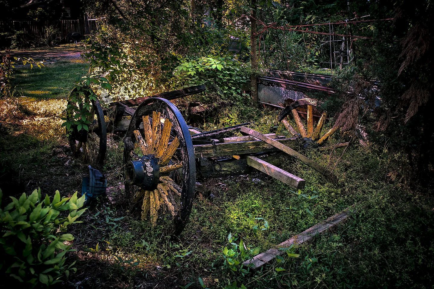 Wagon