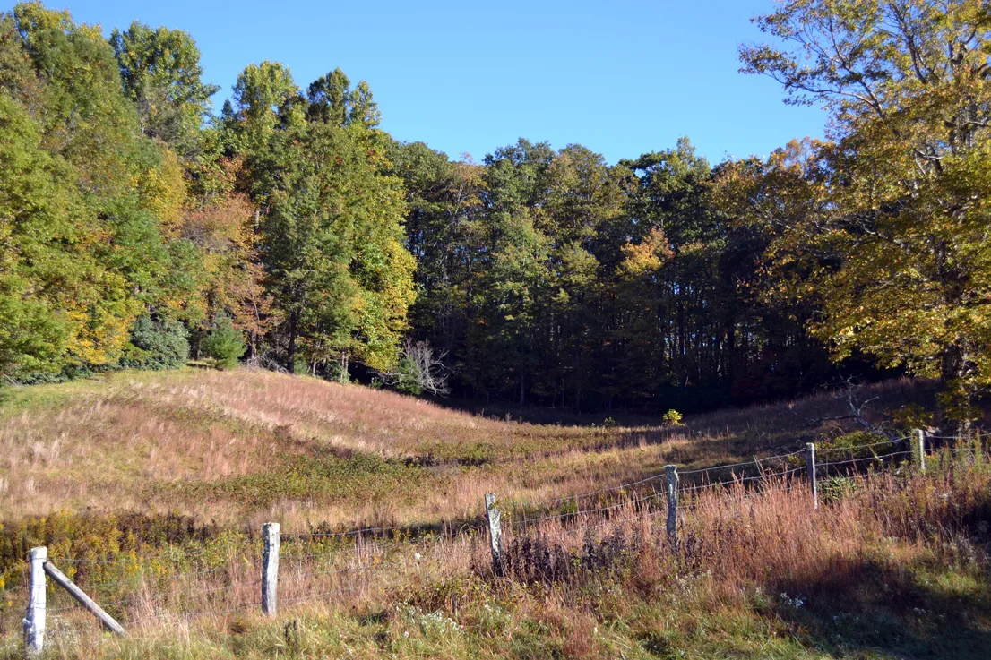 Field