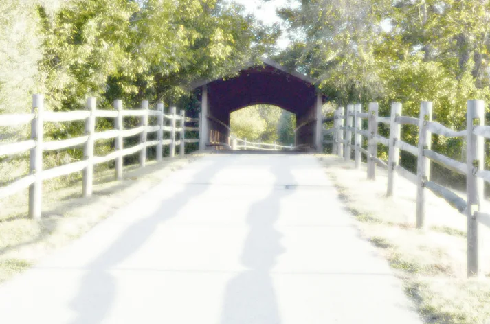 Bridge