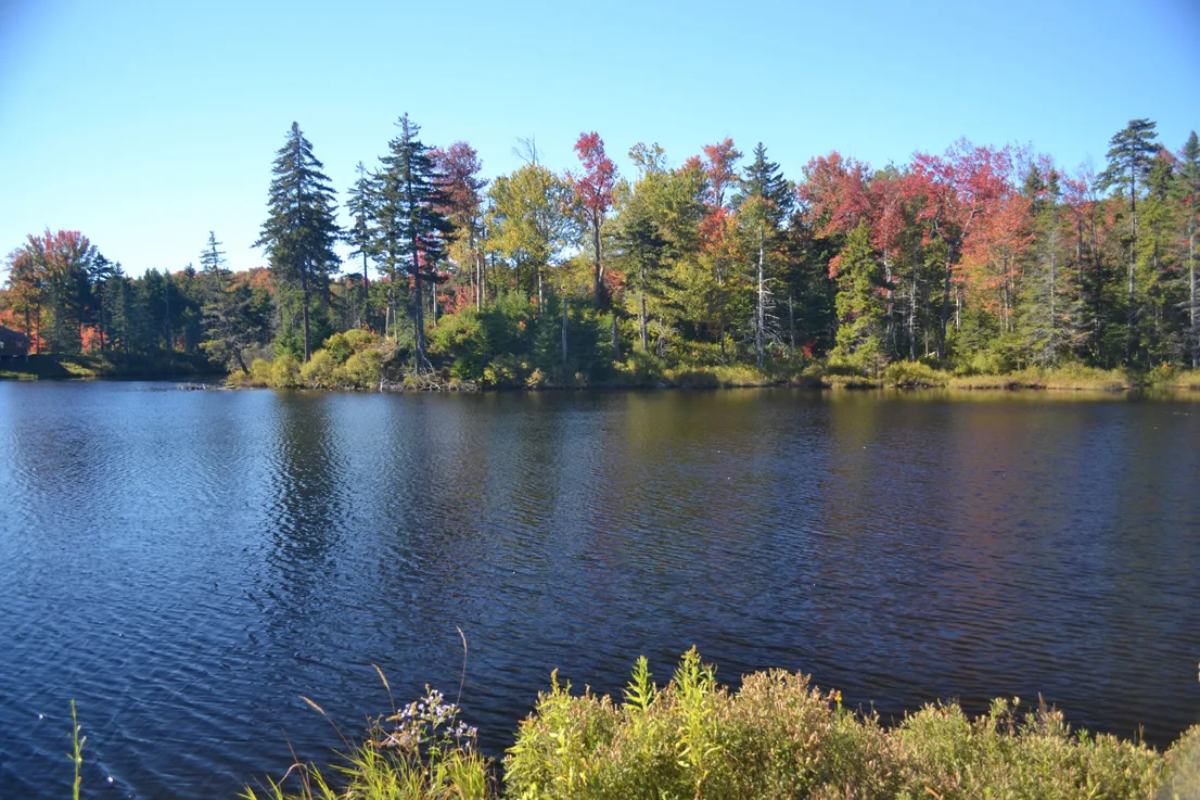 New Hampshire 1