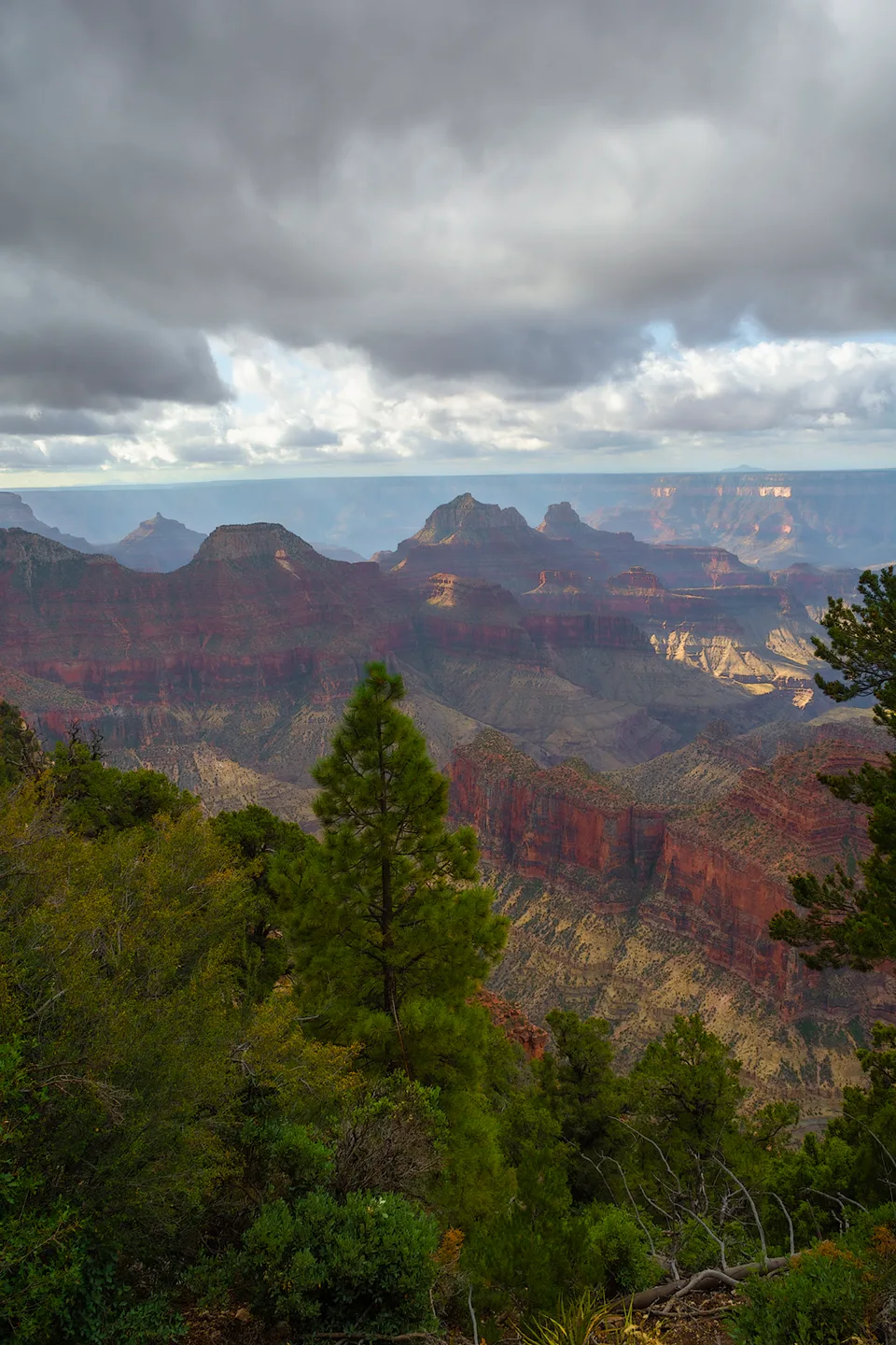Northrim 13