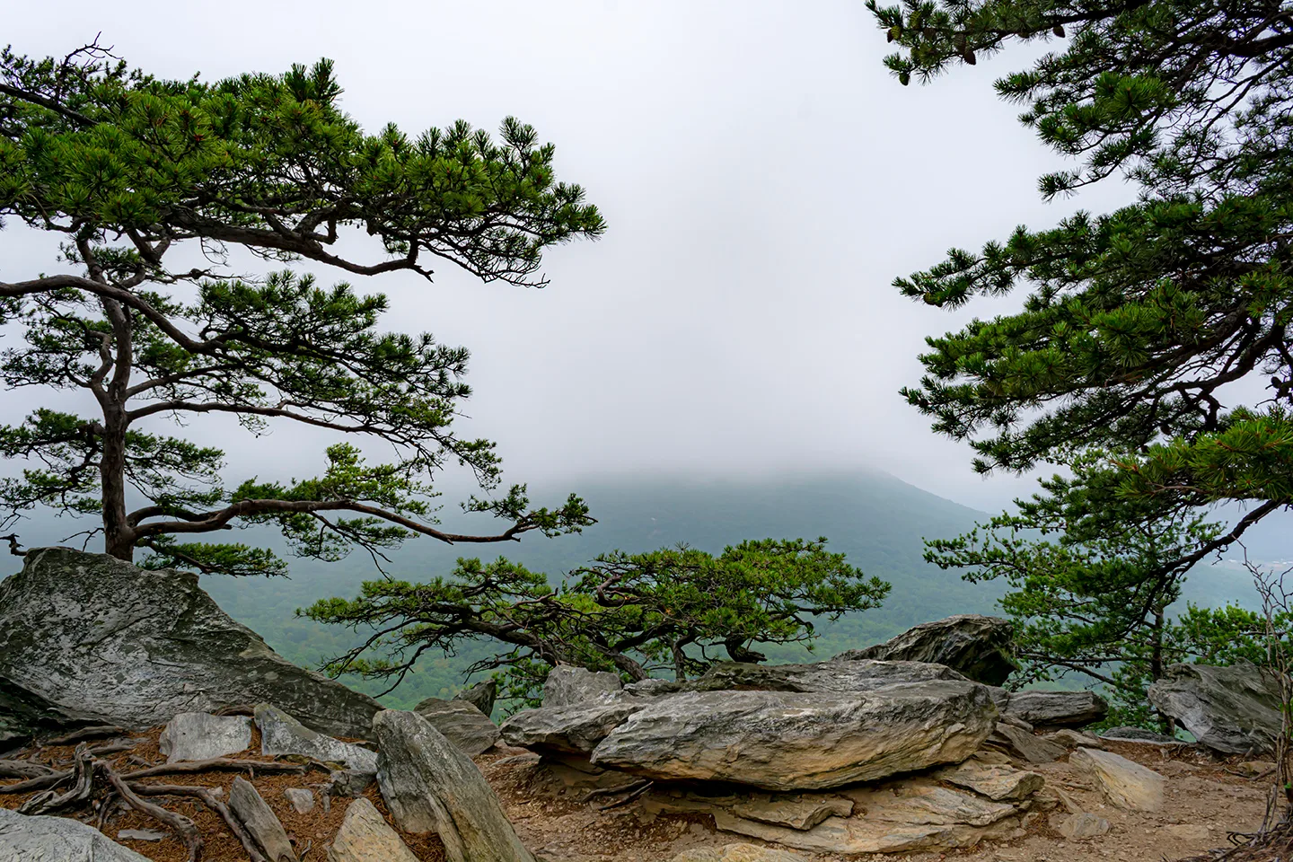 Hangingrock 9