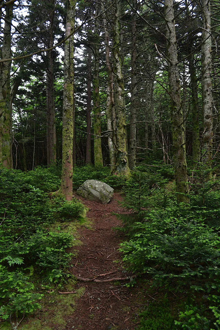 Roantrail 1