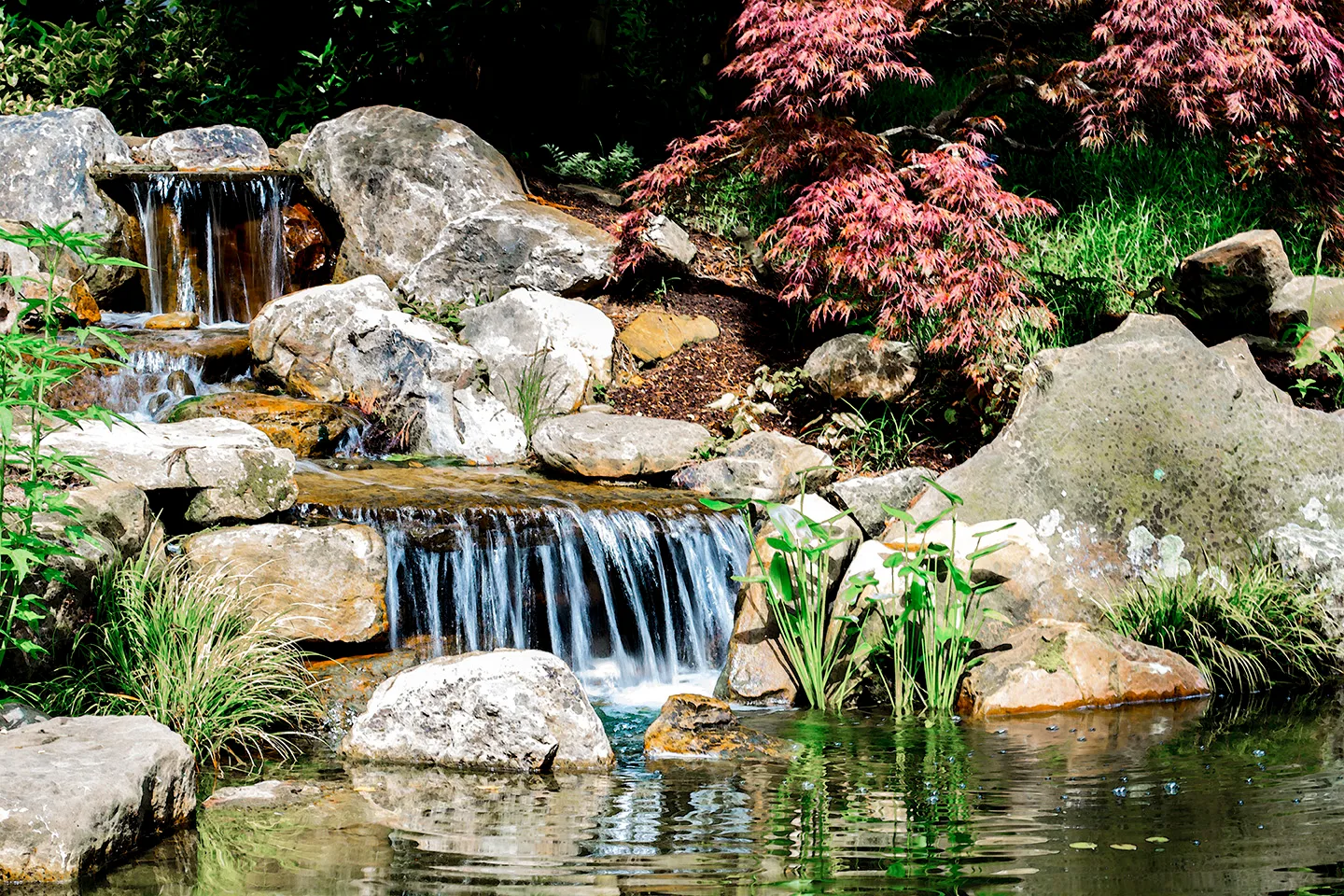 Pond 2