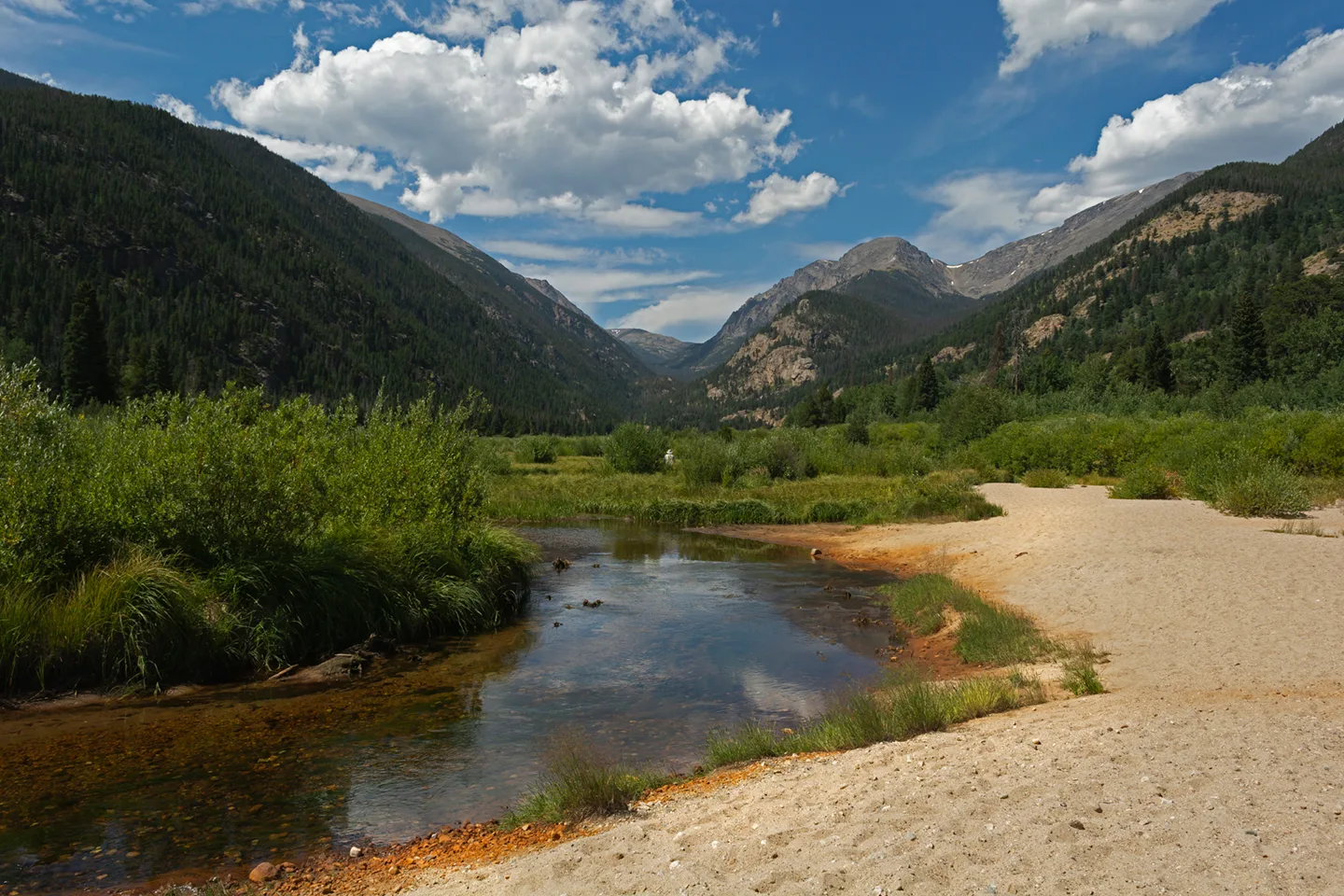 Estes 5