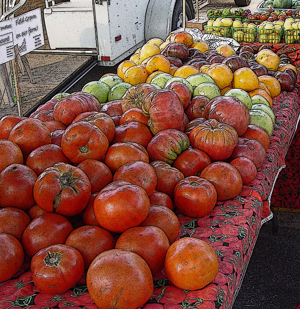Tomatoes 1