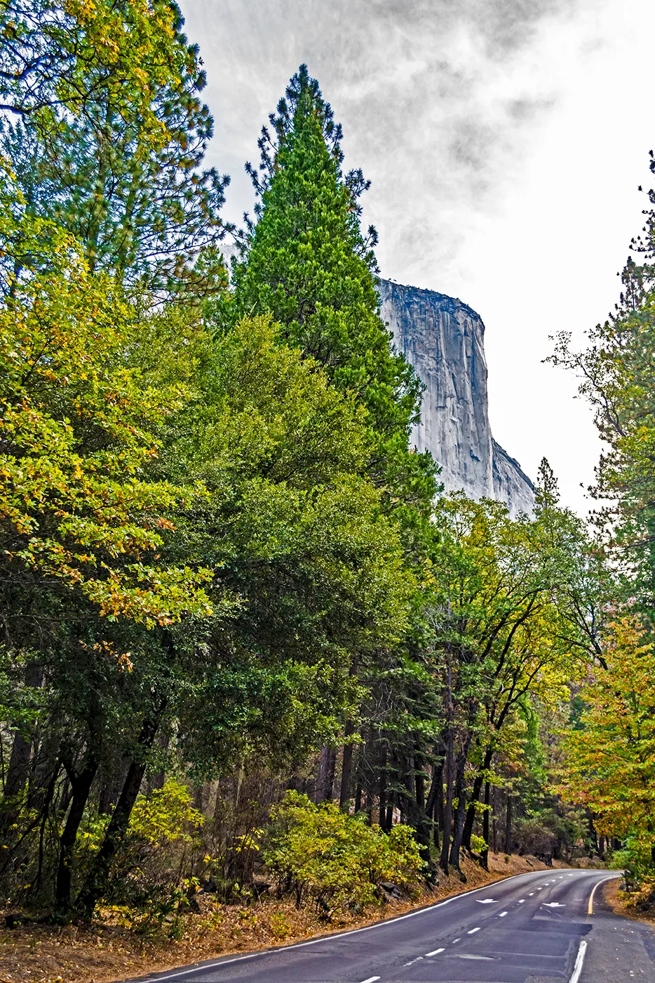 Yosemite 47