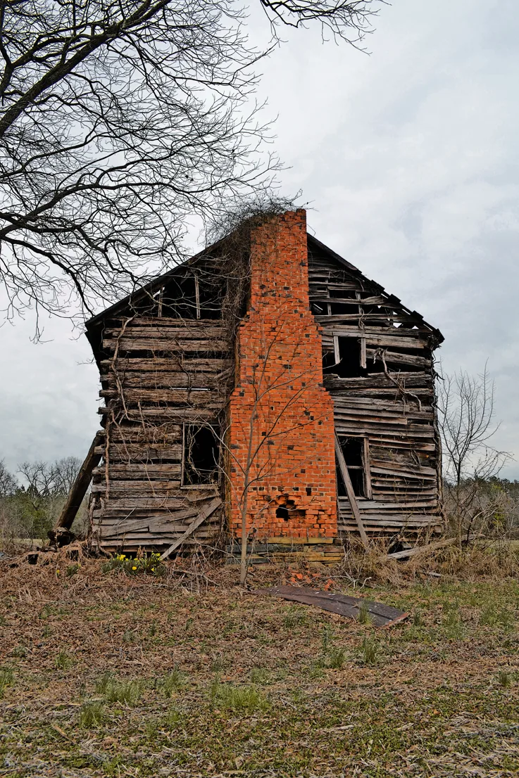 Reese Island Rd 2