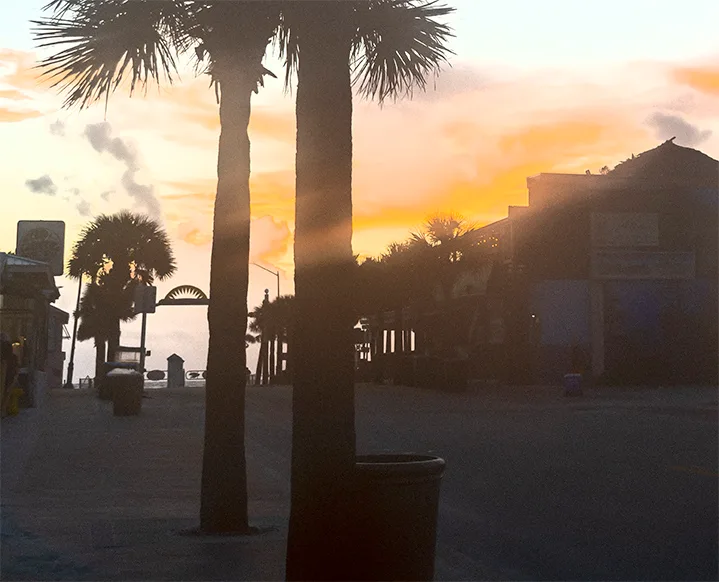 Nsb 1