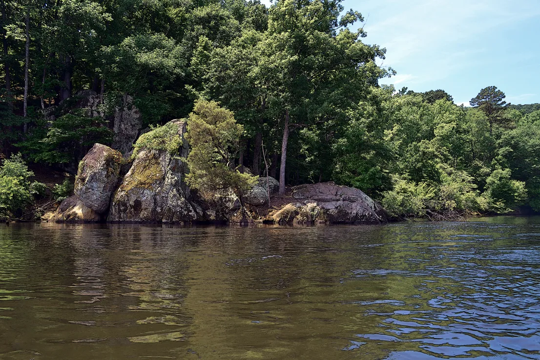 Yadkin-Peedee 15